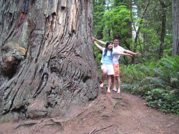 Route 101, Northern California, summer 2008