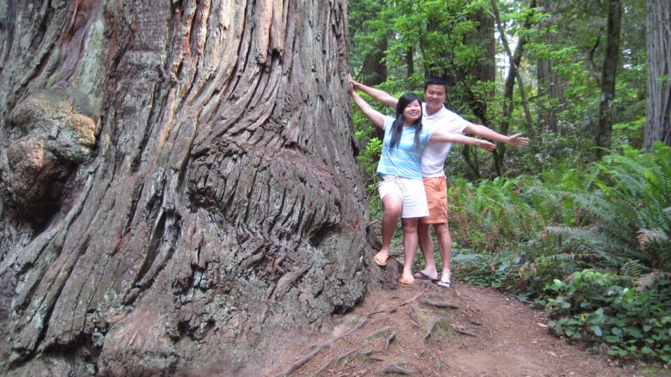 Route 101, Northern California, summer 2008